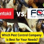 Rentokil vs. Fox Pest Control: Pest Control Companies Compared