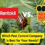 Rentokil vs. Truly Nolen: Pest Control Companies Compared