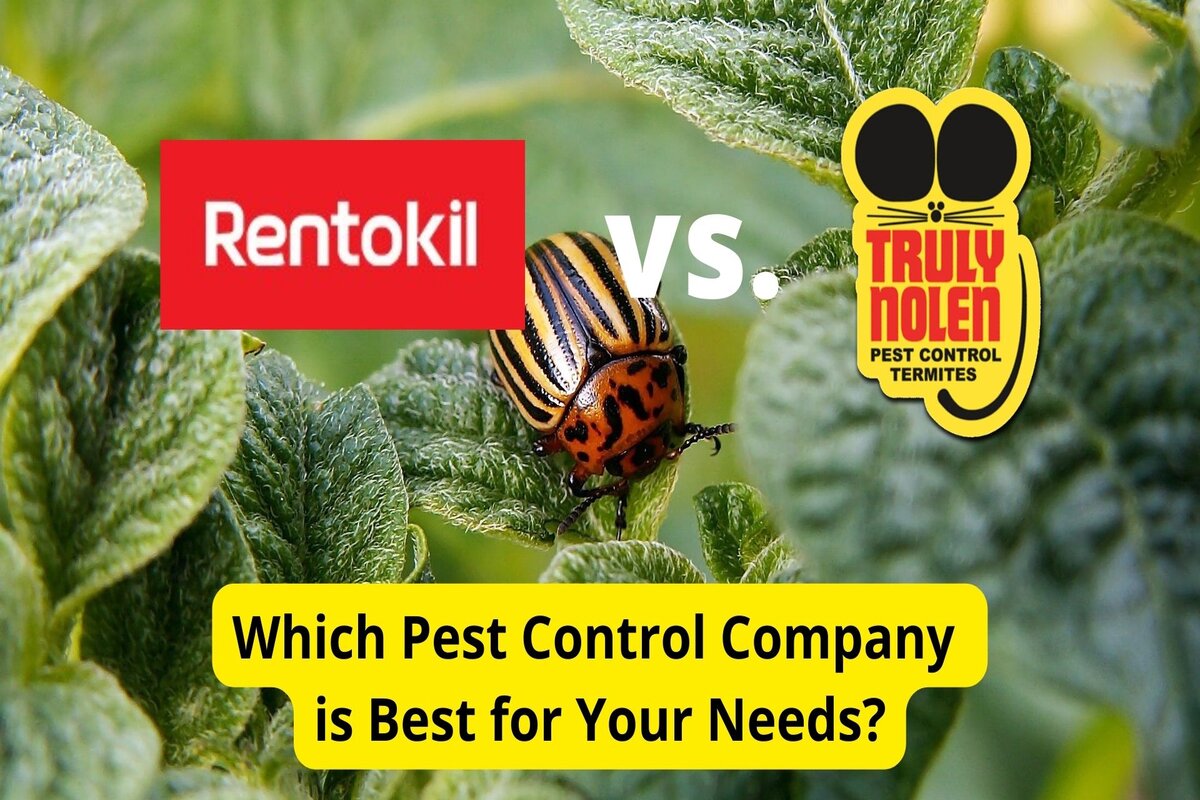 Rentokil vs. Truly Nolen Pest Control Companies Compared Lawnstarter