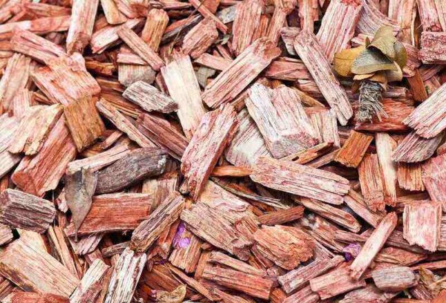 wood chip mulch