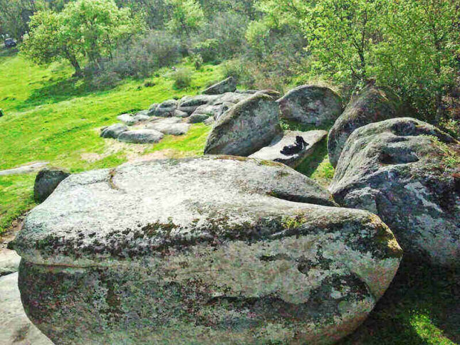 Rock Bed