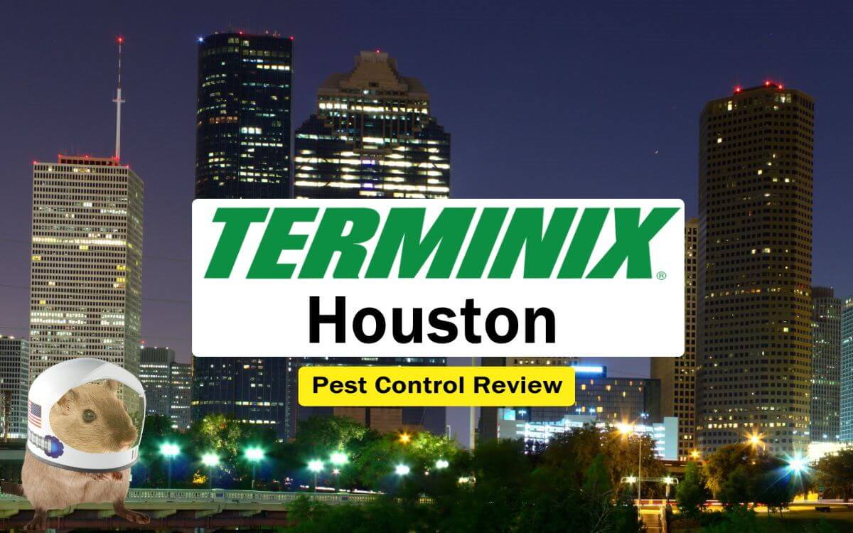 Text: Terminix Houston Pest Control Review Image: Downtown Houston at Night