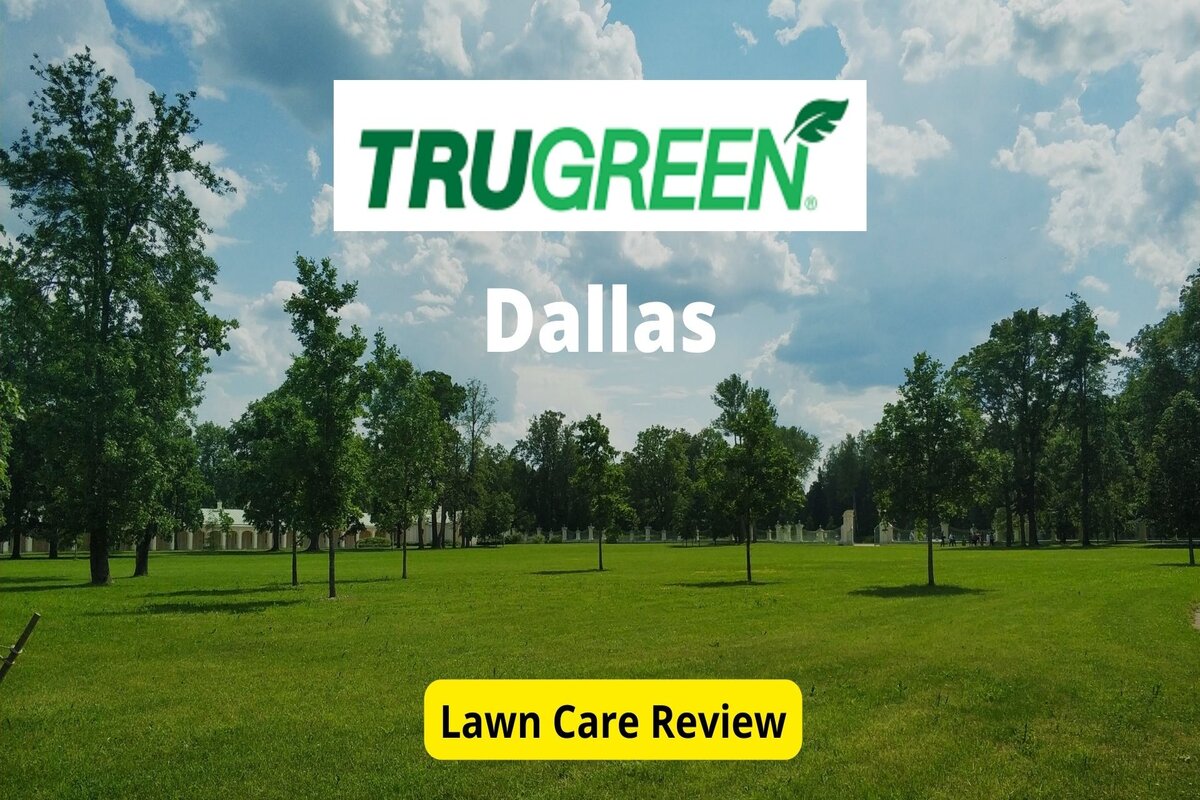 TruGreen Lawn Care in Dallas Review - Lawnstarter