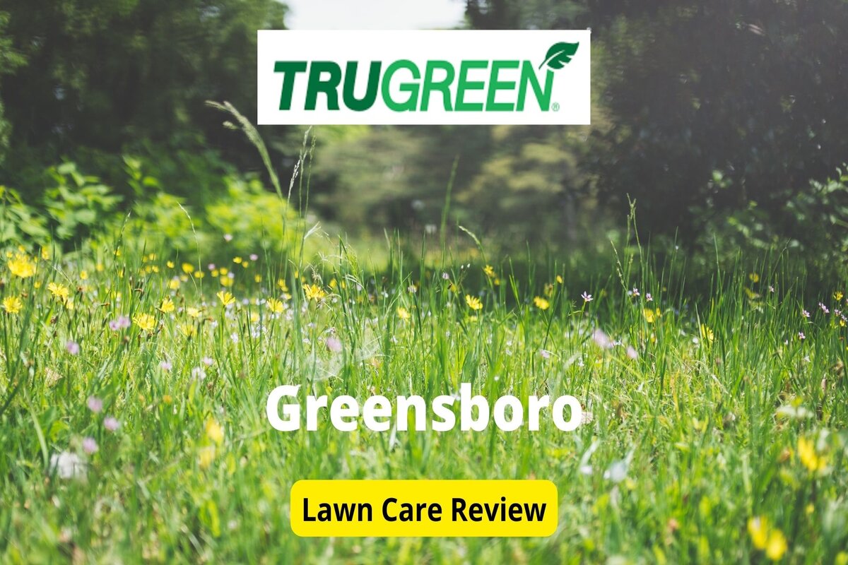 TruGreen Lawn Care in Greensboro Review Lawnstarter