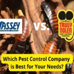Massey Services vs. Truly Nolen: Pest Control Companies Compared