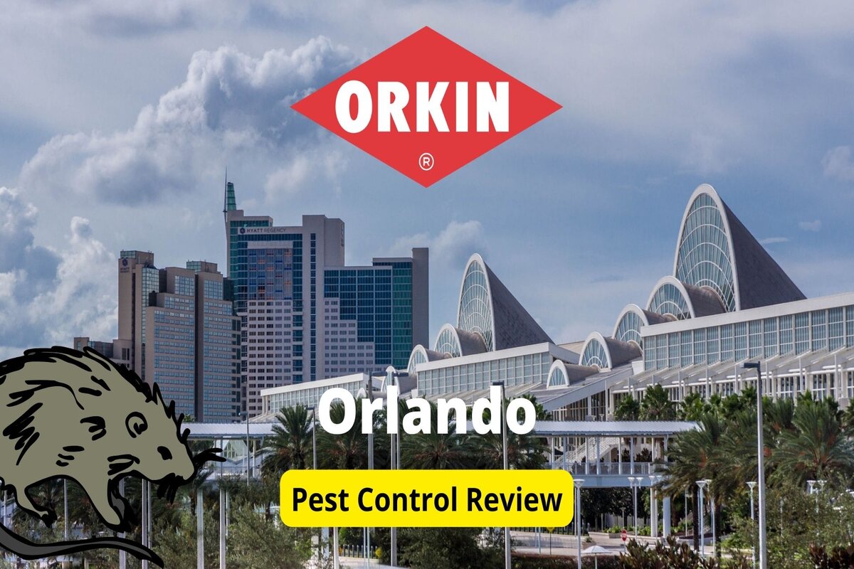 Text: Orkin on Orlando | Bakcgroun Image: Buildings of orlando florida