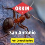 Orkin Pest Control in San Antonio Review