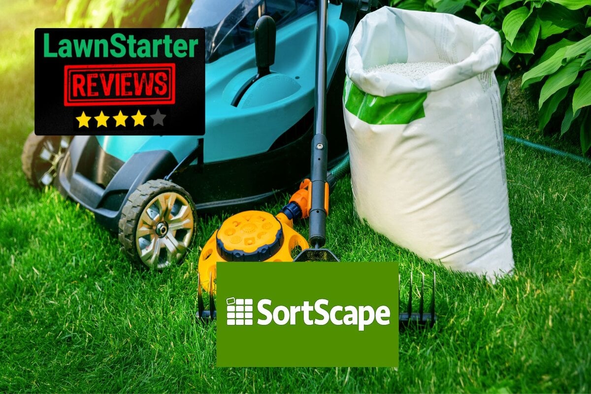 SortScape Review