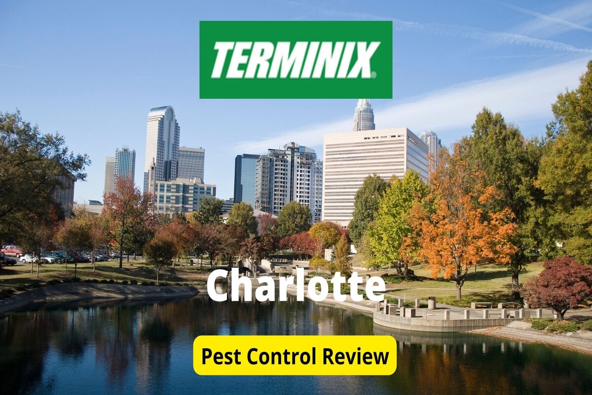 Text: Terminix in Charlotte | Background Image: Lake some in Chalotte with high building on back