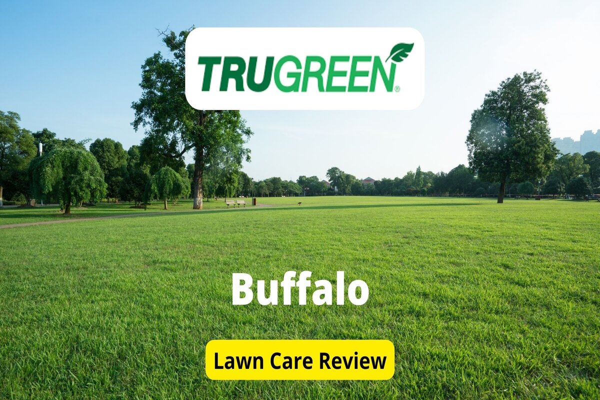 TruGreen Lawn Care in Buffalo Review Lawnstarter