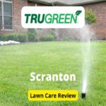 TruGreen Lawn Care in Scranton Review