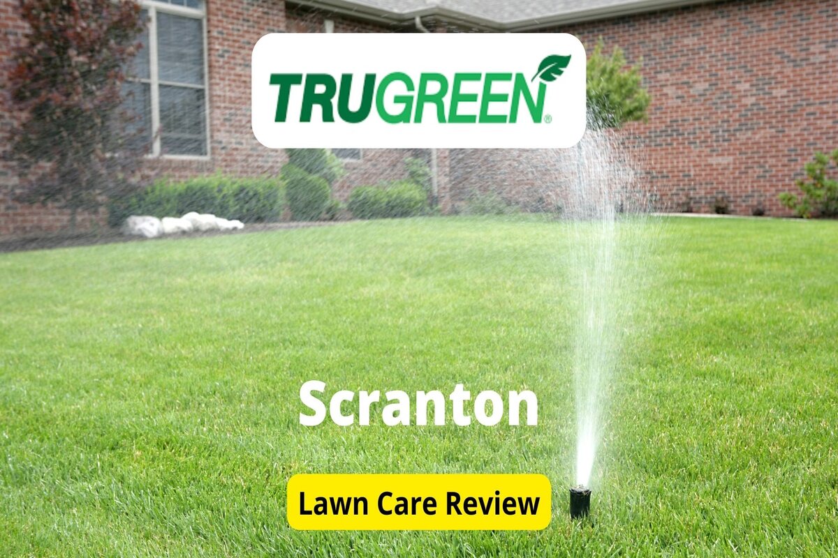 TruGreen Lawn Care In Scranton Review Lawnstarter how-much-does-monthly-lawn-service-cost-lovemylawn