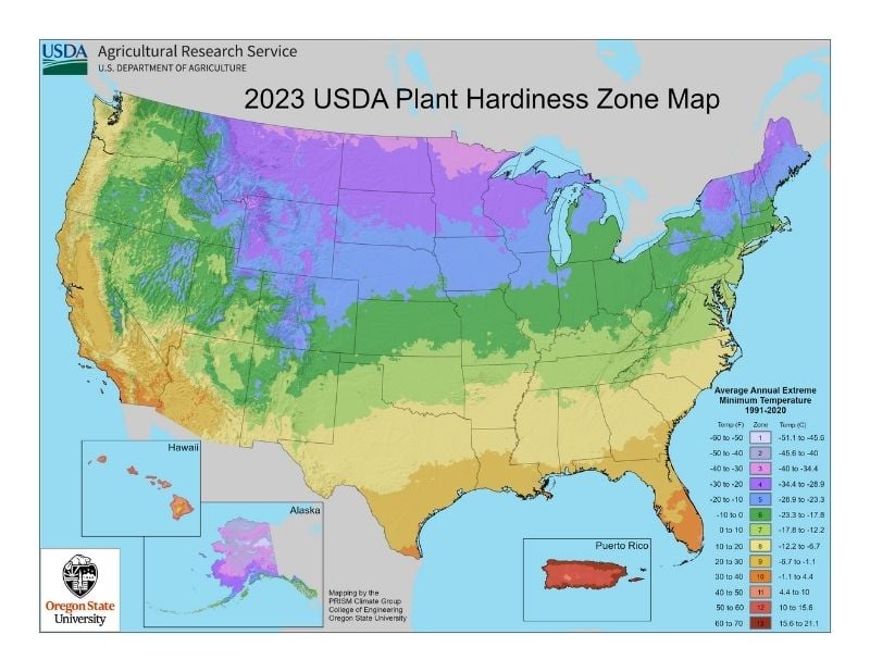 USDA Plant Hardiness Map