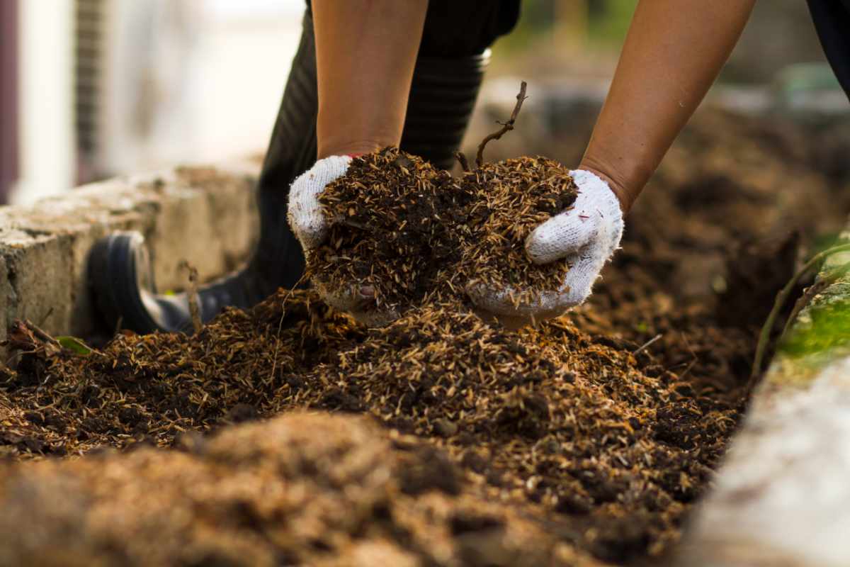 Harnessing the Power of Soil Amendments to Retain Moisture