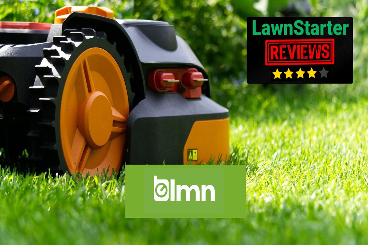 Text: LMN Software review | Background Image: Robotic LawnMower on Grass