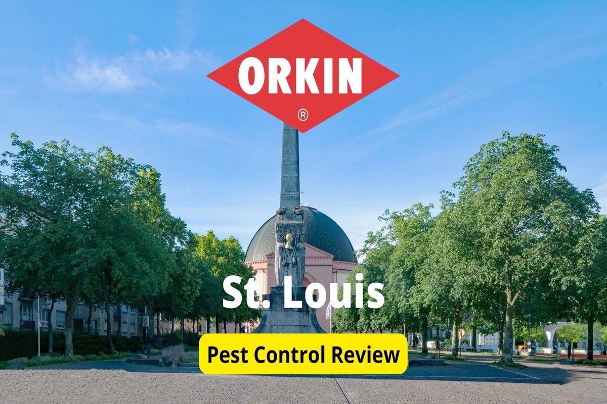 Text: Orkin in St Louis Pest control review | Background Image: St Louis Dramstadt Church