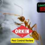 Orkin Pest Control Review