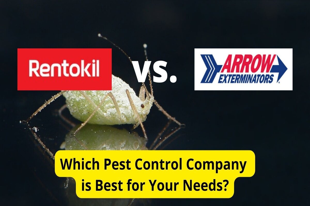 Rentokil vs. Arrow Exterminators Pest Control Companies Compared