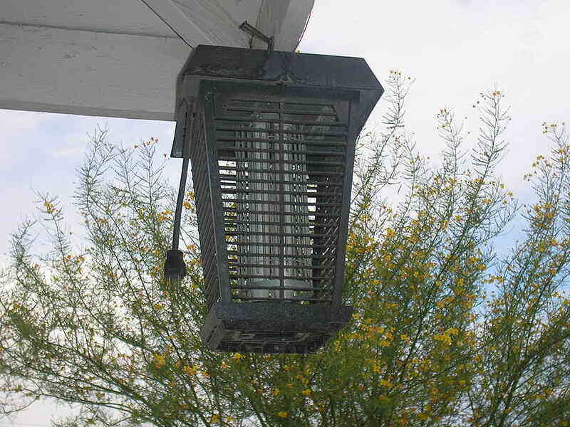 Bug Zapper