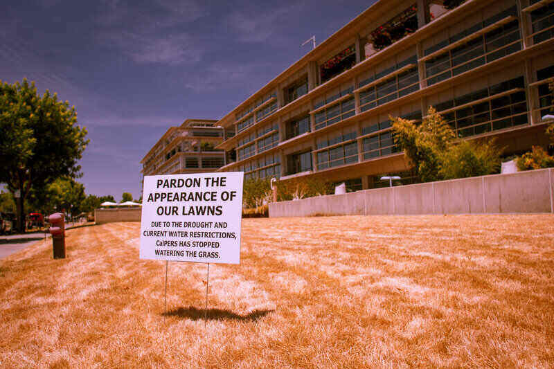 drought in a lawn