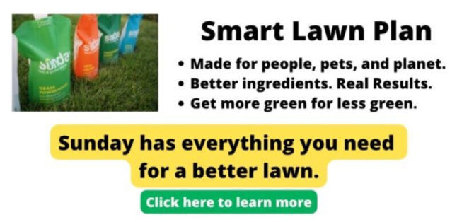 Get Sunday Smart Lawn Plan ad