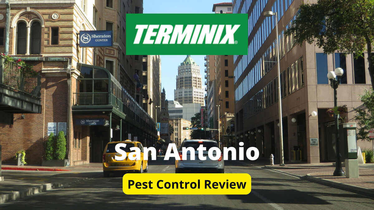 Terminix review in San Antonio