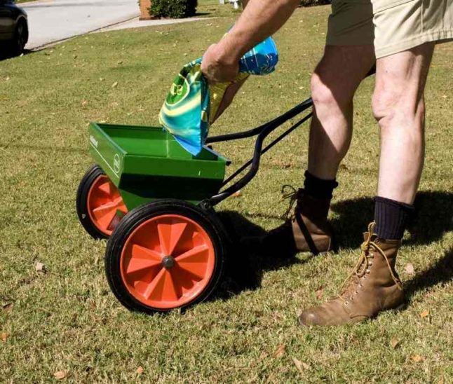 Fertilizer Numbers: What They Mean and How to Use Them