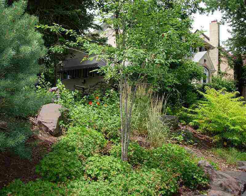 plant your slope