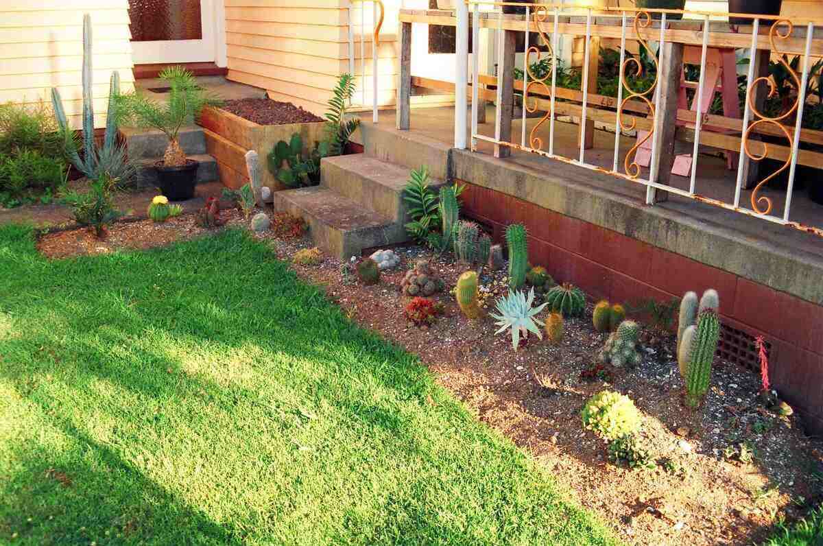 drought landscaping ideas