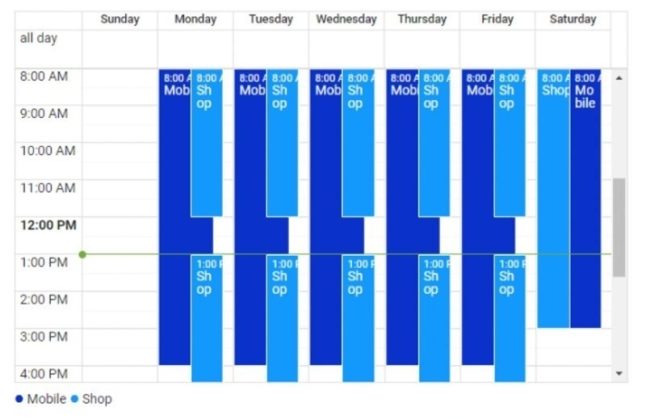 BidClips calendar with two simultaneous schedules