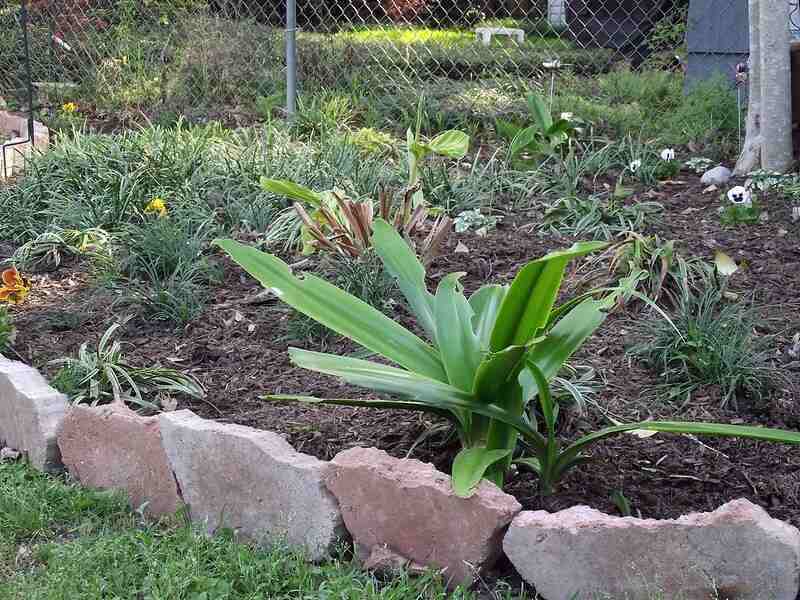 Edging with rocks