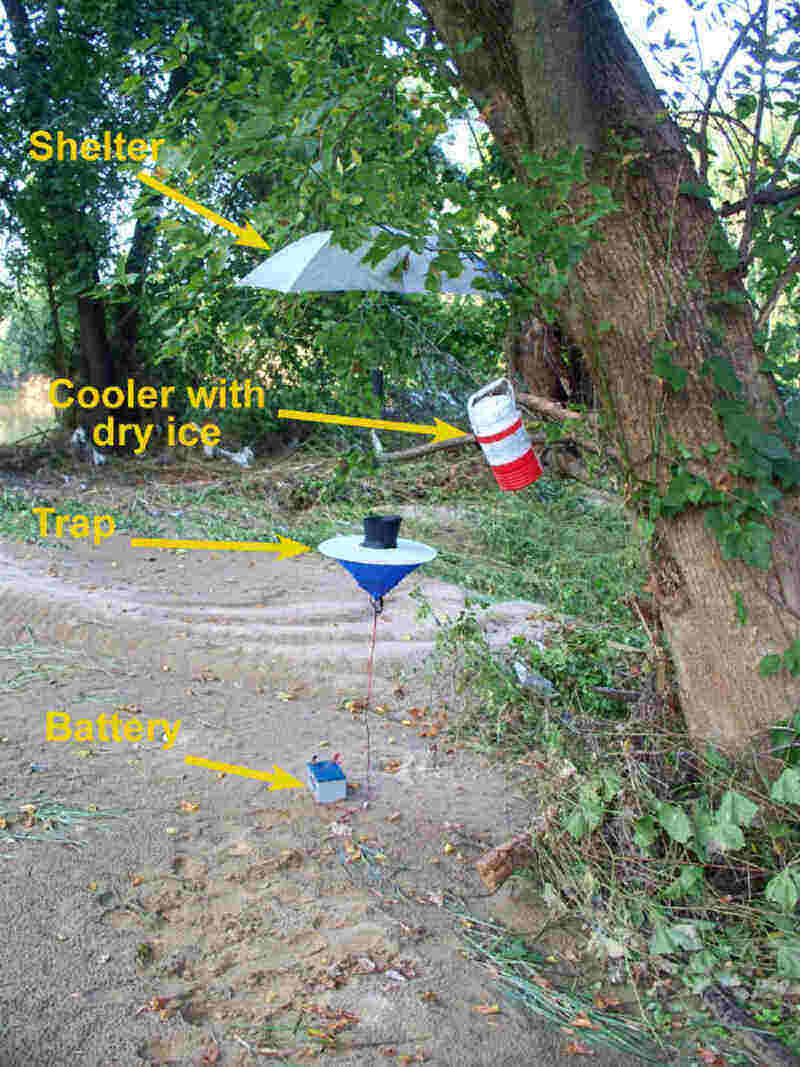 Carbon Dioxide Mosquito Traps Do They Really Work?