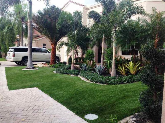 Front Yard vs. Backyard Landscaping Ideas