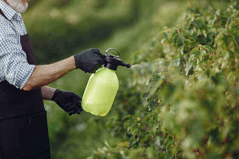 Spraying in herbicide