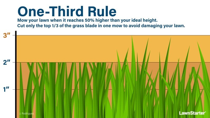 illustration showing the one-third rule