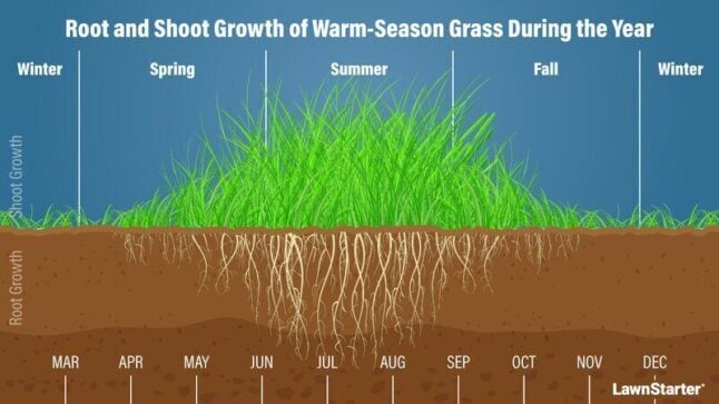 Warm Season Growth