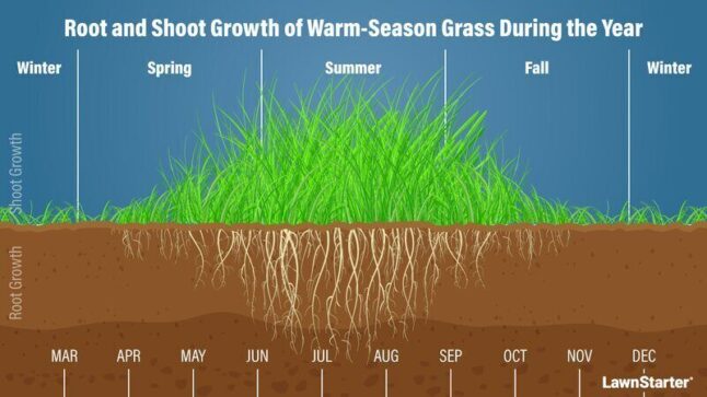 Warm Season Growth