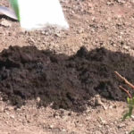 How to Improve Your Lawn (With Soil Amendments)