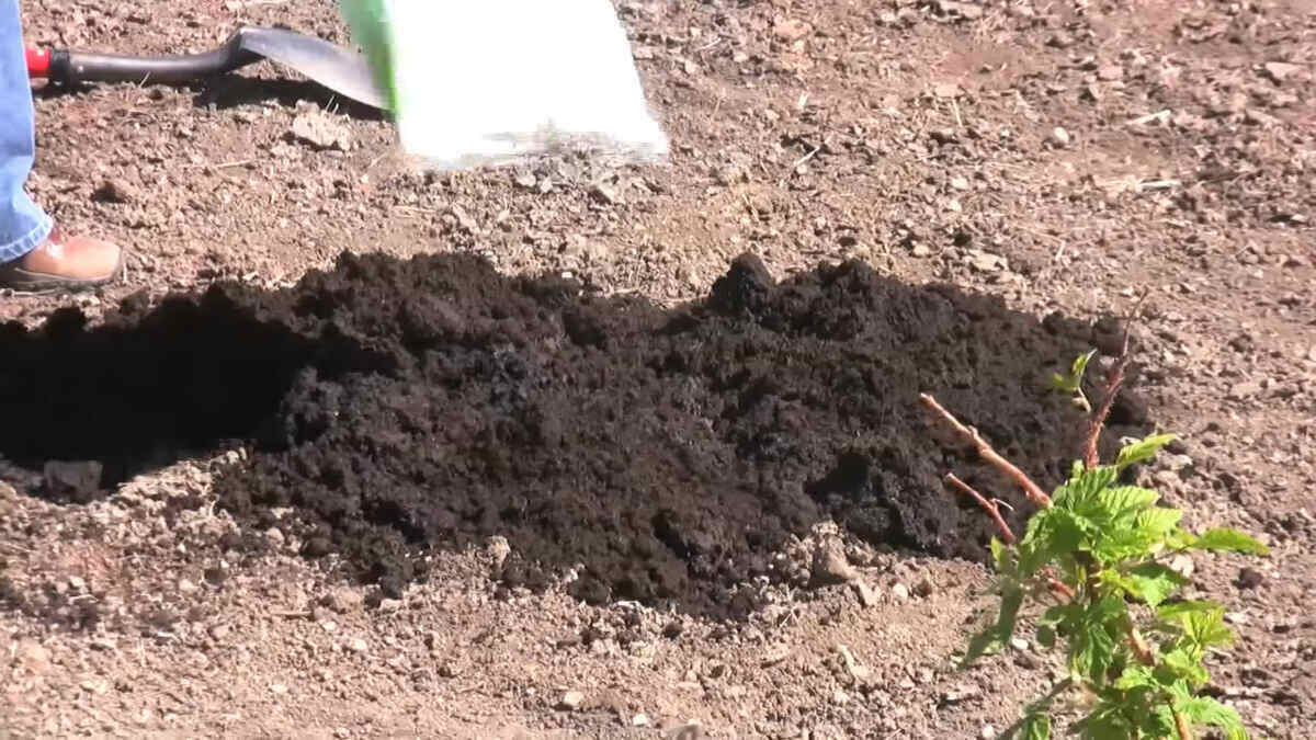 soil amendments