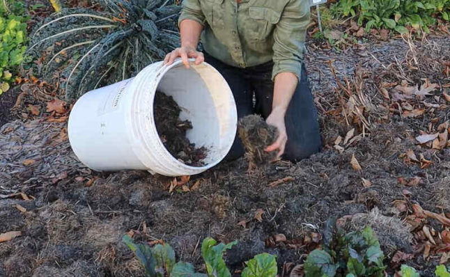 Adding organic components to soil