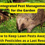Integrated Pest Management for the Garden