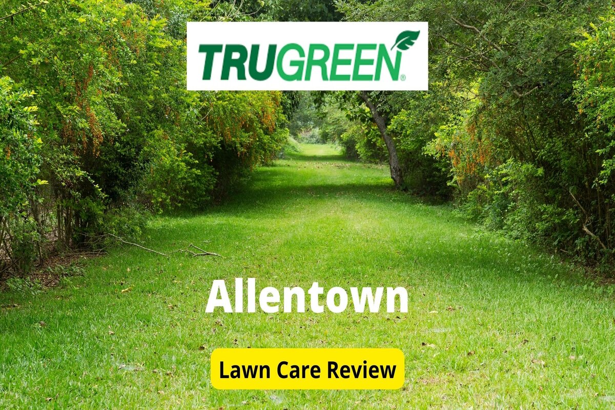 Text: Trugreen in Allentown | Background Image: Greeny Pathway Trees on Side
