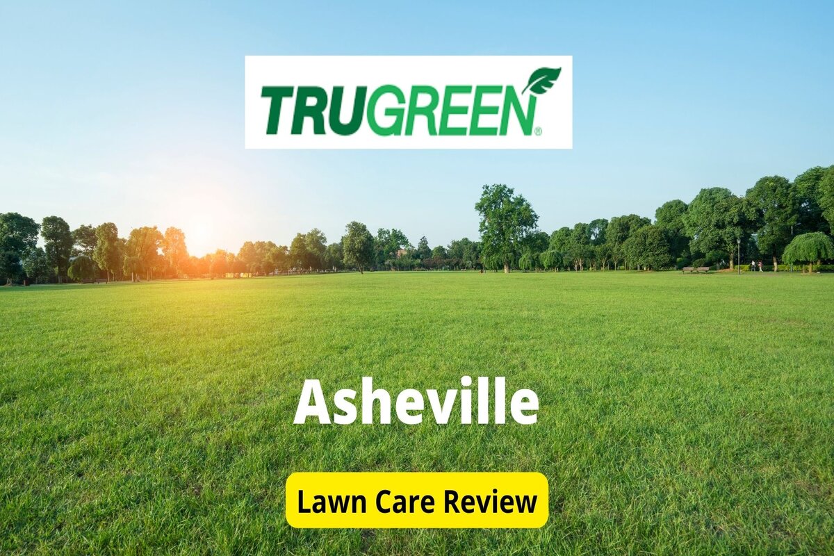 Text: Trugreen in Asheville | Background Image: Green Grass Field on a Sunny Day