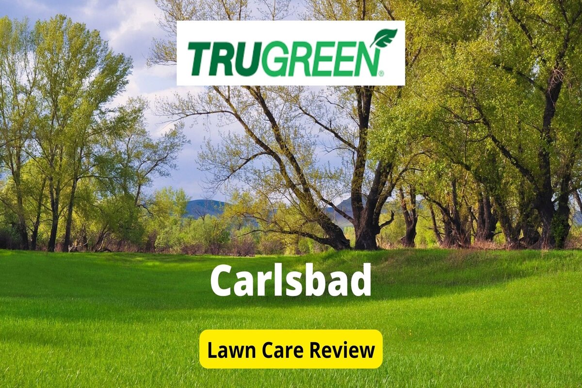 TruGreen Lawn Care in Carlsbad Review Lawnstarter