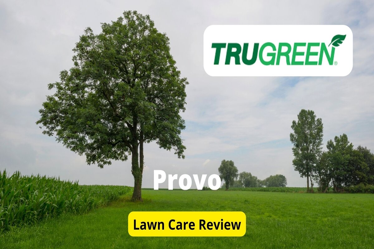 Text: Trugreen in Provo | Background Image: Green Field with one big tree