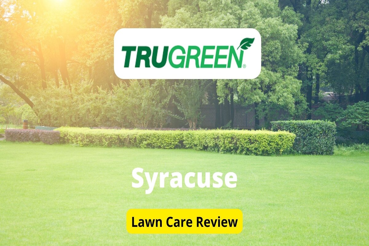TruGreen Lawn Care in Syracuse Review Lawnstarter