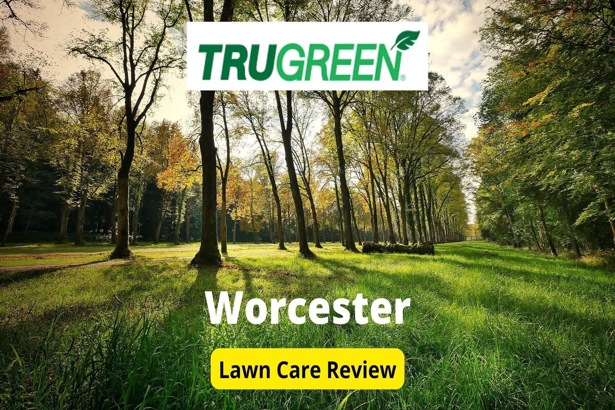 Text: Trugreen in Workcester review | Background Image: Trees Park Nature