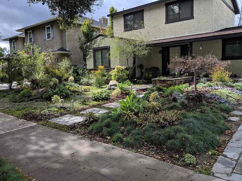 Rain Garden