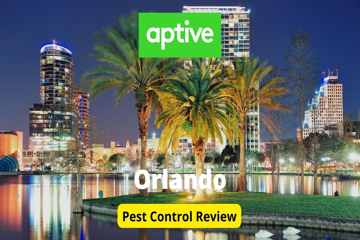 Text: Aptive in Orlando | Background Image: Palm Trees infrot of orlando city night view
