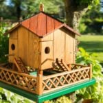 How to Attract Birds to Your Yard